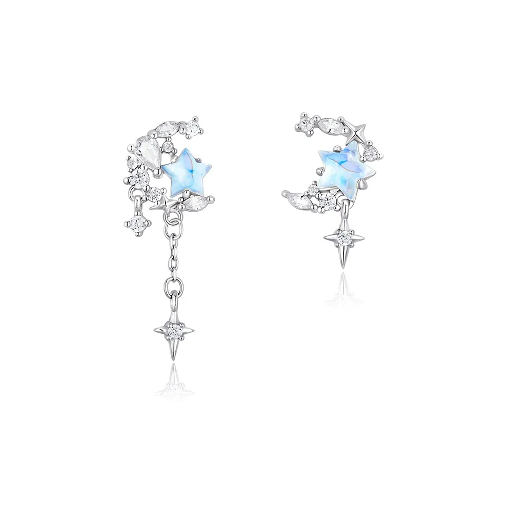 ZSY Sterling Silver Earrings Women's Box