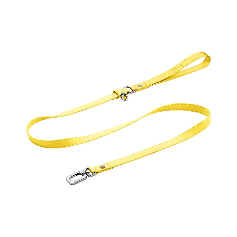 MARS MALL Dog Leashes