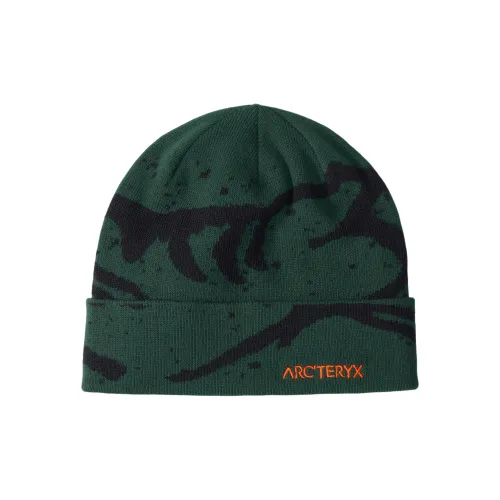 Arcteryx Шапки-бини Мужские