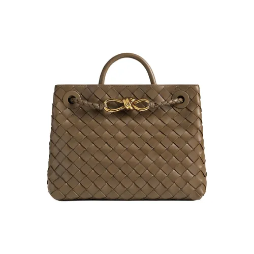 Bottega Veneta Andiamo series Сумки Женские