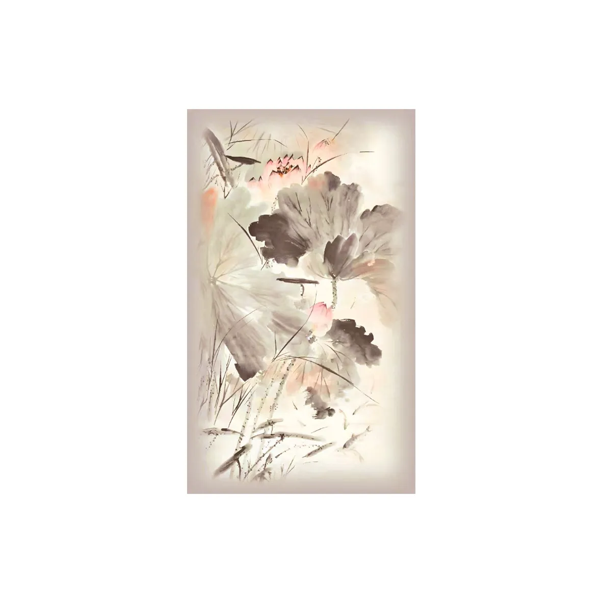 Shanghai Story Shawls Women's