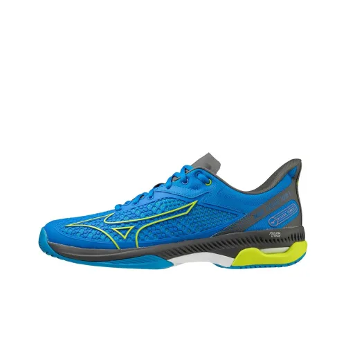 Кроссовки для тенниса Mizuno Wave Exceed Tour 5, низкий верх, синие, мужские