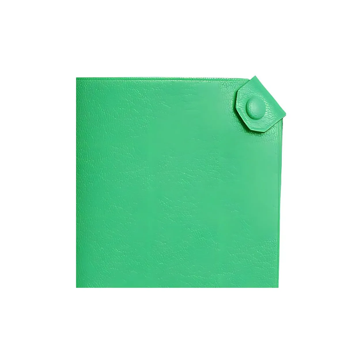 HERMES Tarmac Chamkila Goat Skin Passport Holder Women's Comic Green