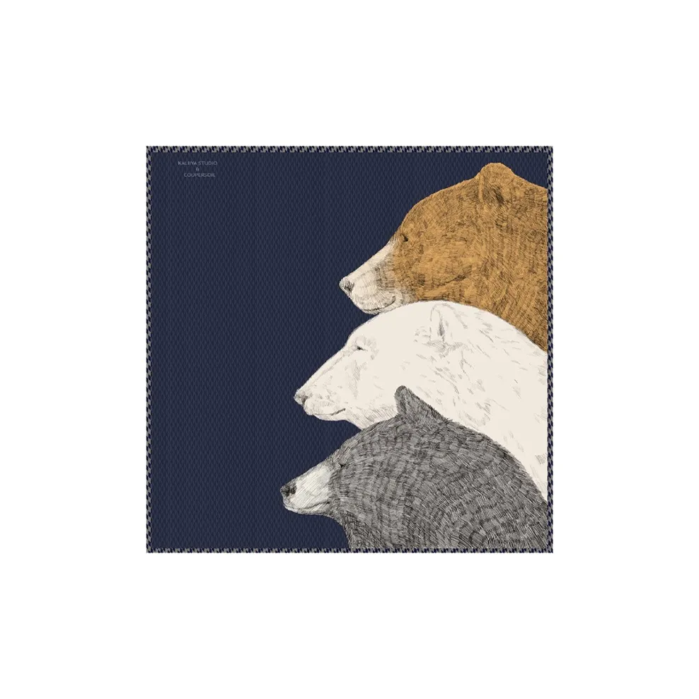 KALIIYA STUDIO Шали Женские