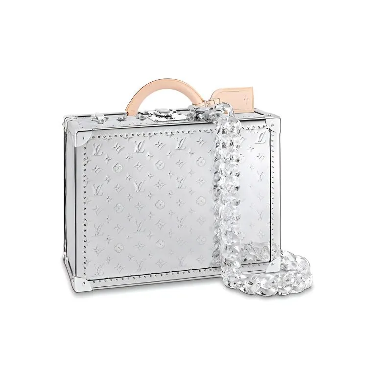 LOUIS VUITTON Canvas Travel Bag Handheld Hard Case Unisex Silver
