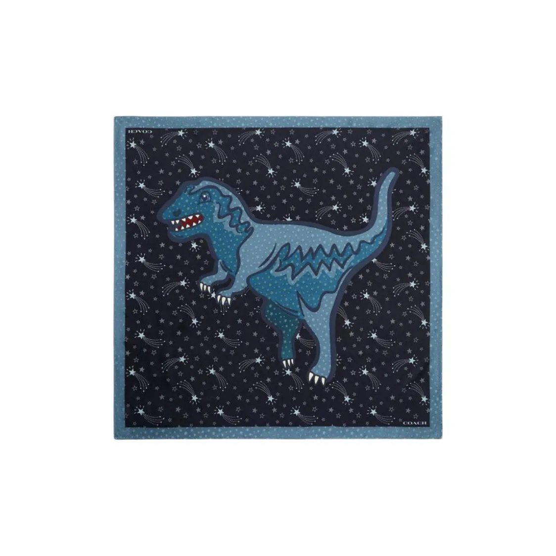 COACH Шарфы из шелка Тутовый Унисекс Черный Океан Синий