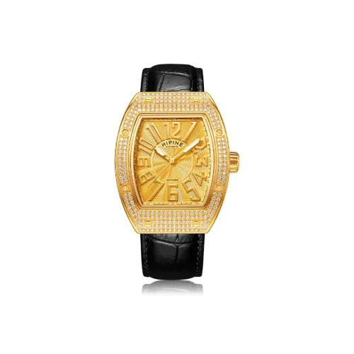 HIPINE Механический Movement Мужские Explore Home Series Часы 48mm*38mm*12mm Золотой
