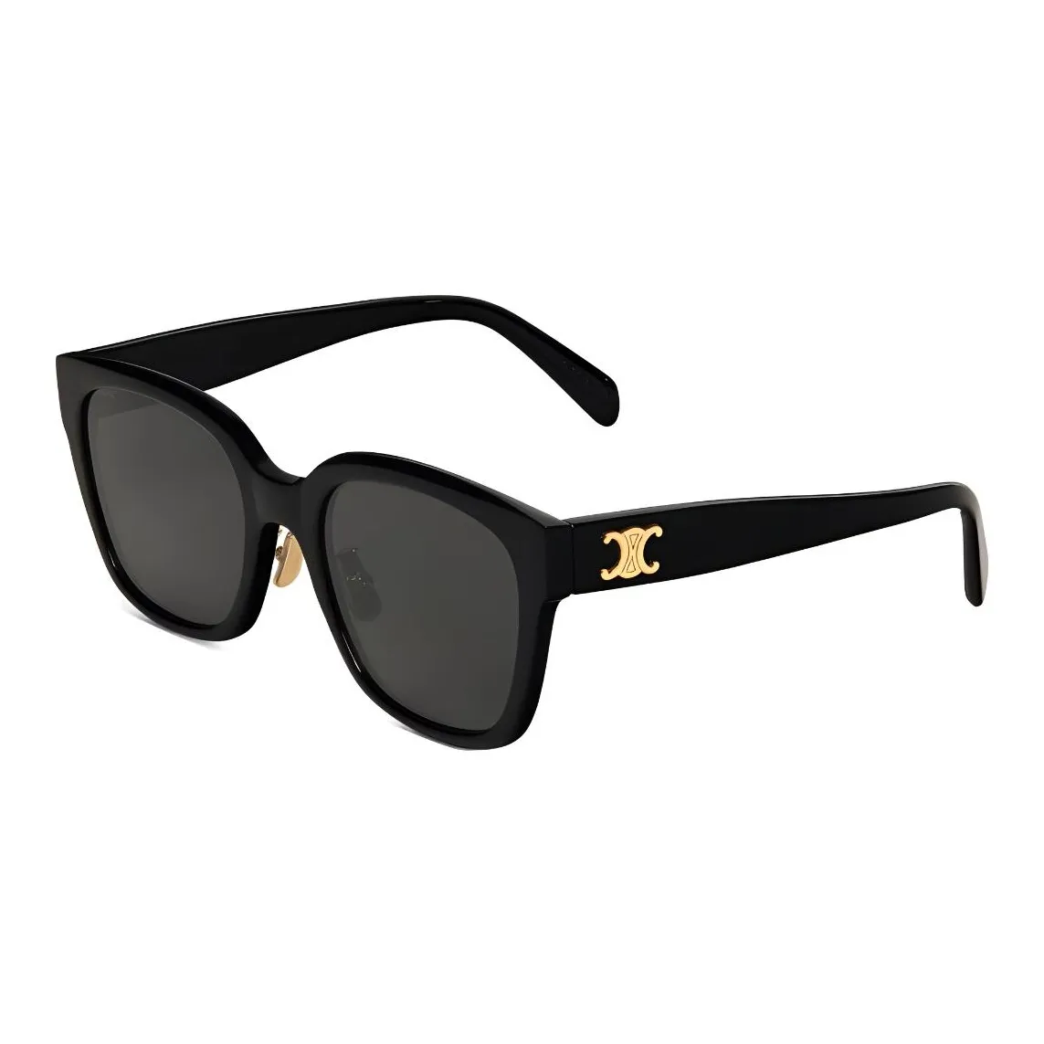 CELINE Women's Triomphe 05 Sunglasses In Acetate Black