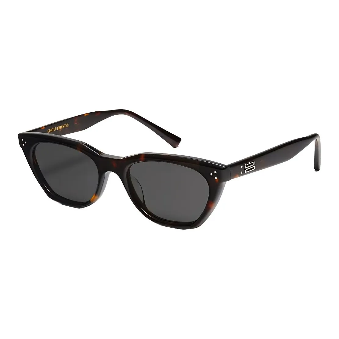 GENTLE MONSTER Tortoiseshell effect Wayfarer frame Sunglasses