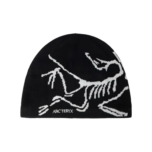 Arcteryx Шапки-бини Унисекс