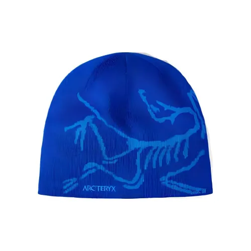 Arcteryx Шапки-бини Унисекс