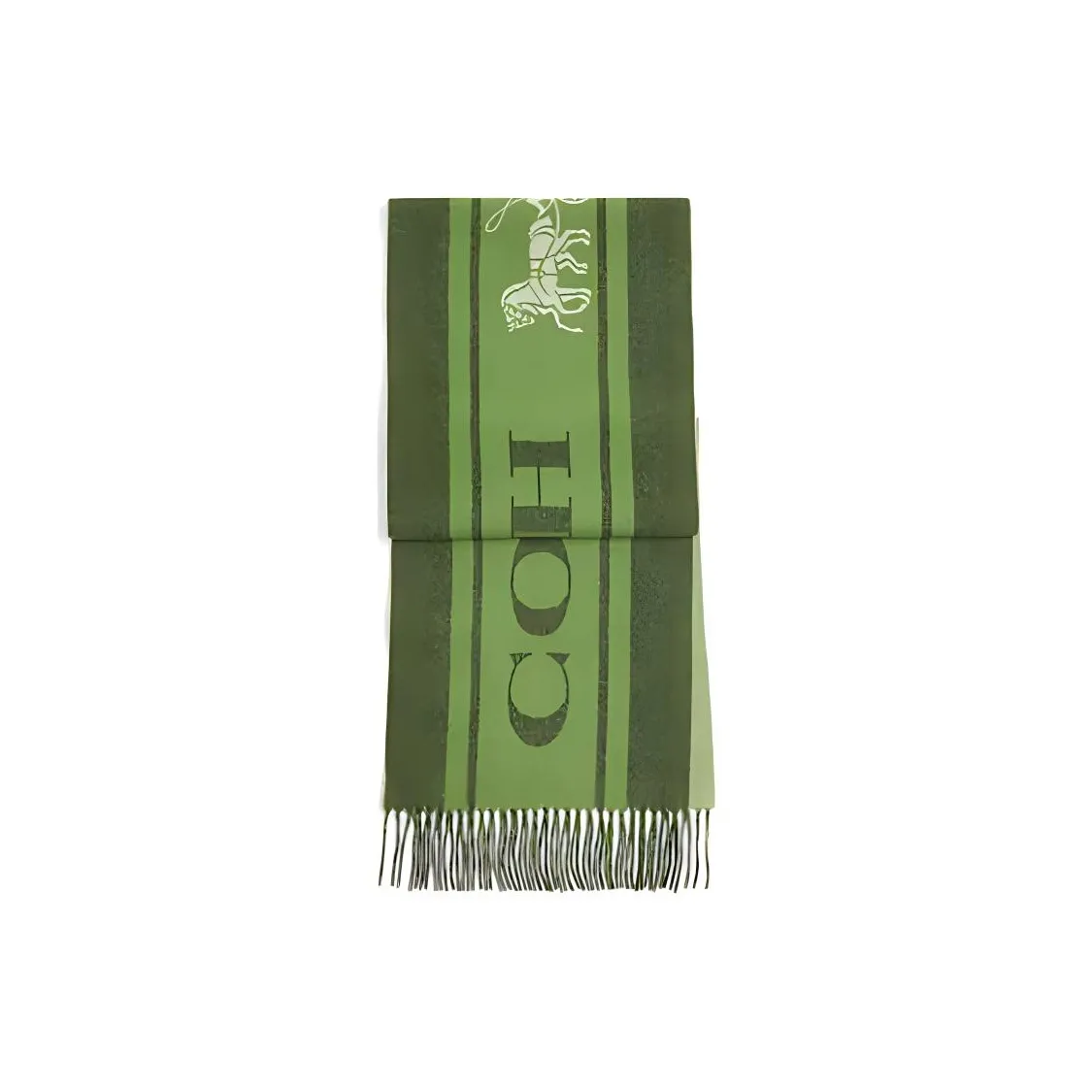 COACH Шерсть Кашемир Шарф Унисекс Зеленый