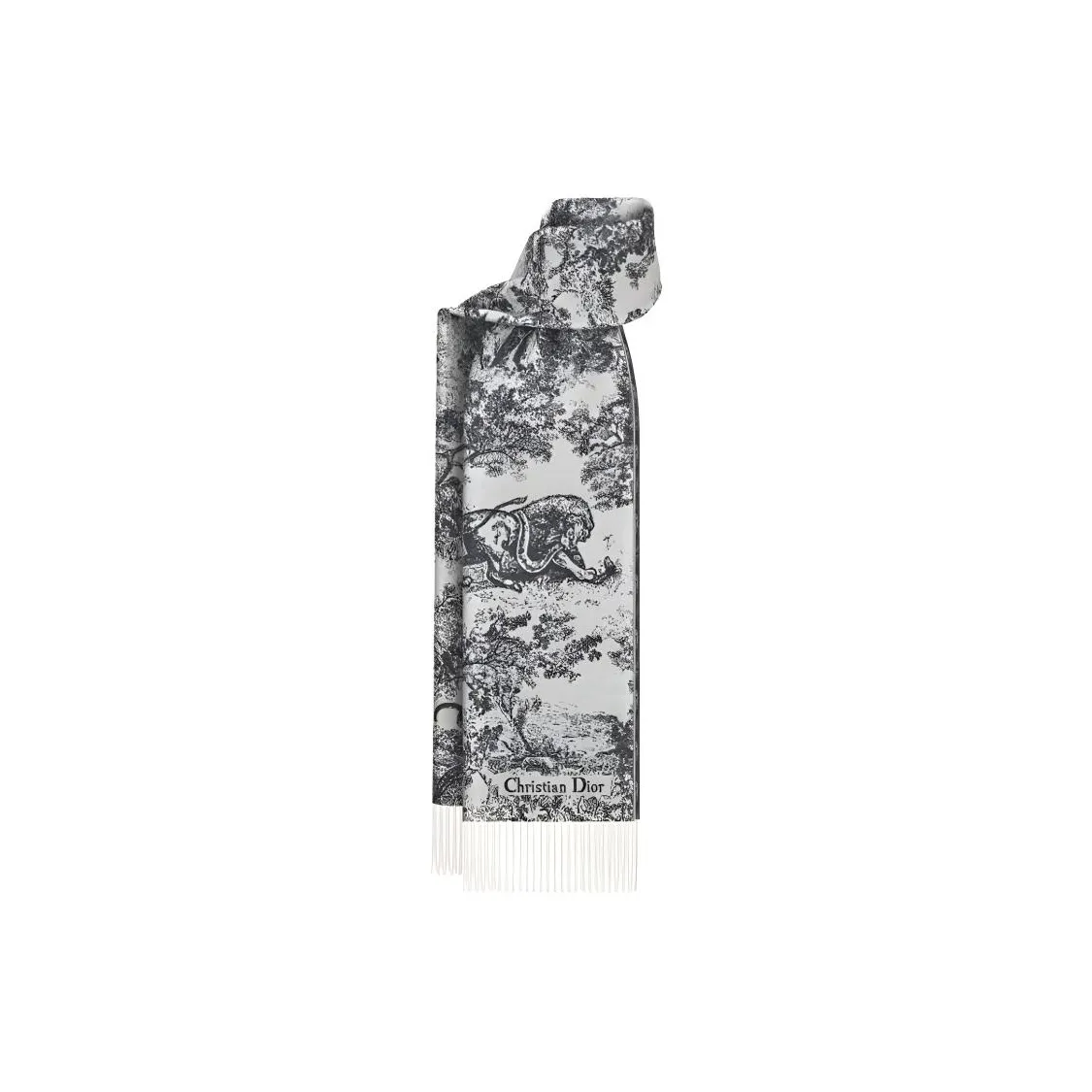 DIOR Knit Scarves Women's