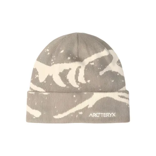 Arcteryx Шапки-бини Унисекс