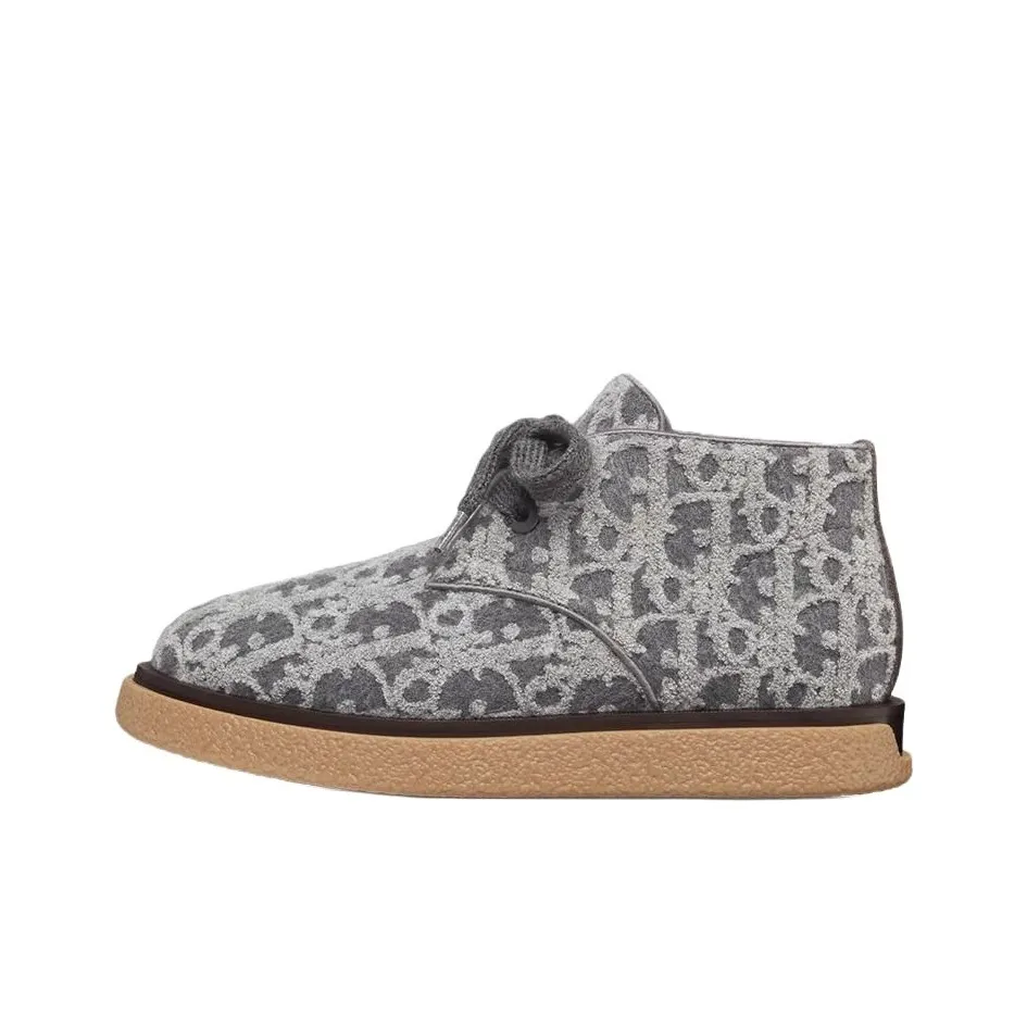 DIOR Sahara Ankle Boots Men's Gray