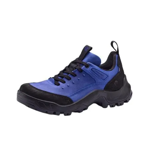 Ecco Off ROAD SERIES Трекинговые ботинки Низкий Верх Синий Мужские