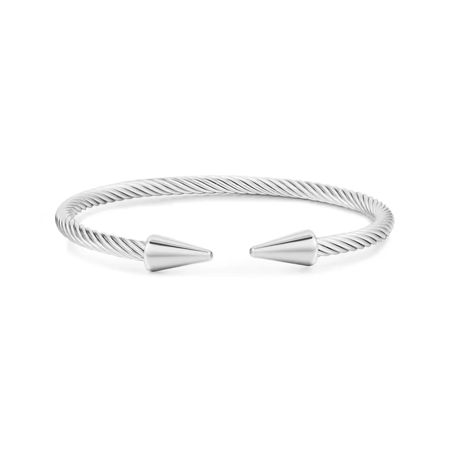 Shang Yinfu Titanium Steel Bangles Men's