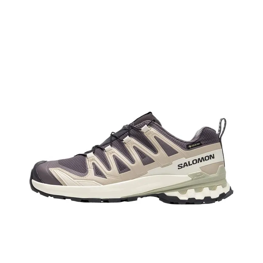 SALOMON XA Pro 3D V9 Hiking / Trekking Shoes Unisex Low-Top Beige