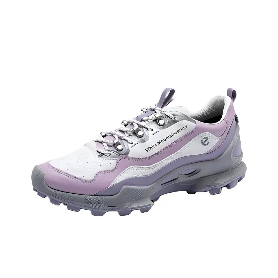 White Mountaineering x Ecco BIOM Capsule Wear resistant And Lightweight Low Top Outdoor Shoes Women's Purple