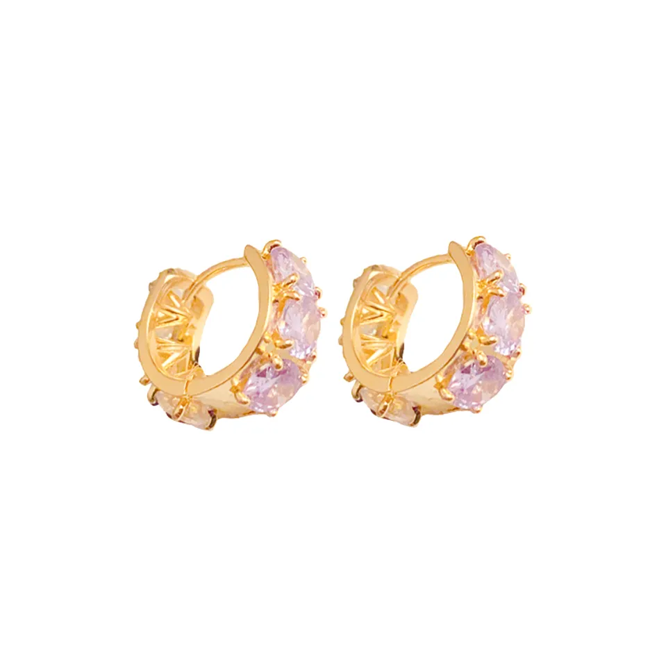 Vegetarian Zircon Earrings Unisex