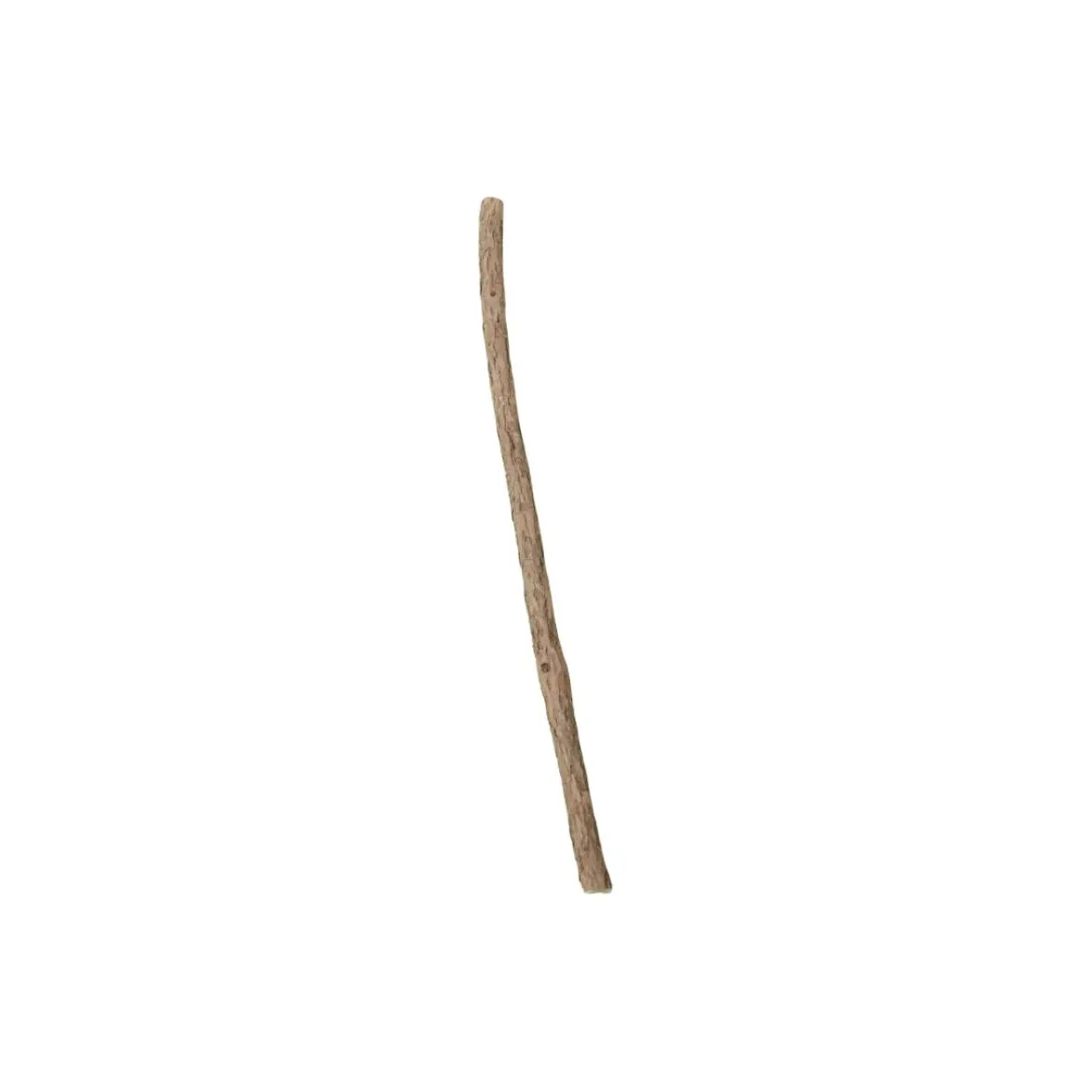 Hoopet Cat Toy Wand