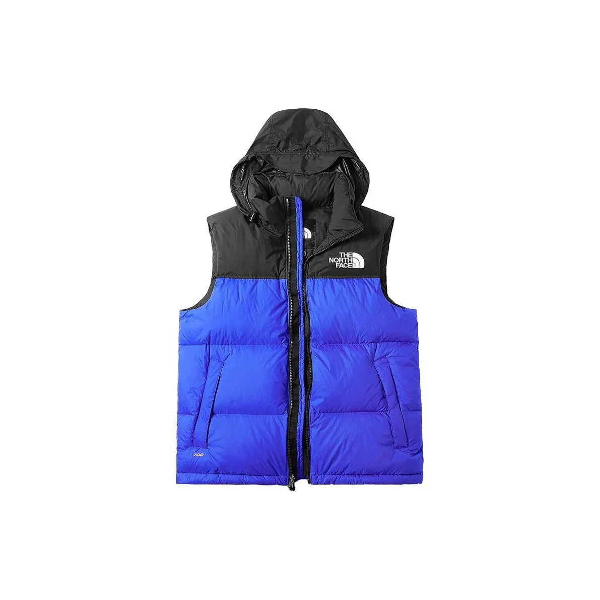 THE NORTH FACE 1996 Collection Nuptse Vest Men
s Blue