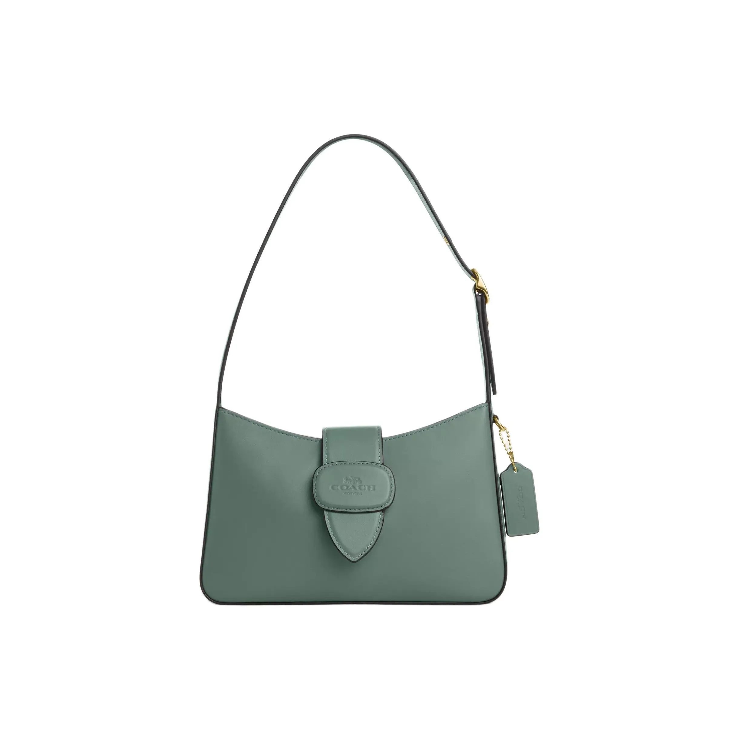 COACH Eliza Телячья кожа Сумка Сумка через плечо Средняя Женская Шалфейно-зеленый