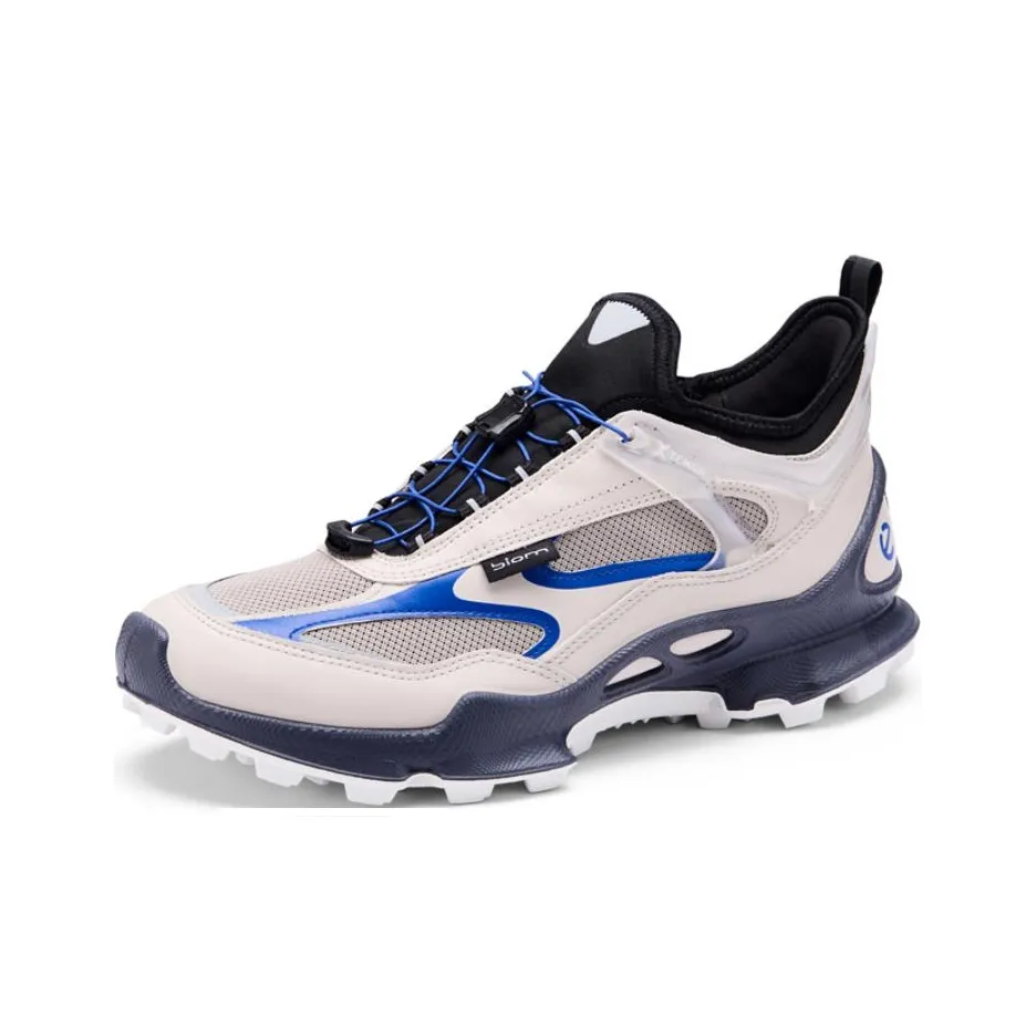 Ecco Striding C Low Топ Альпинистская Обувь Мужская Серый Синий