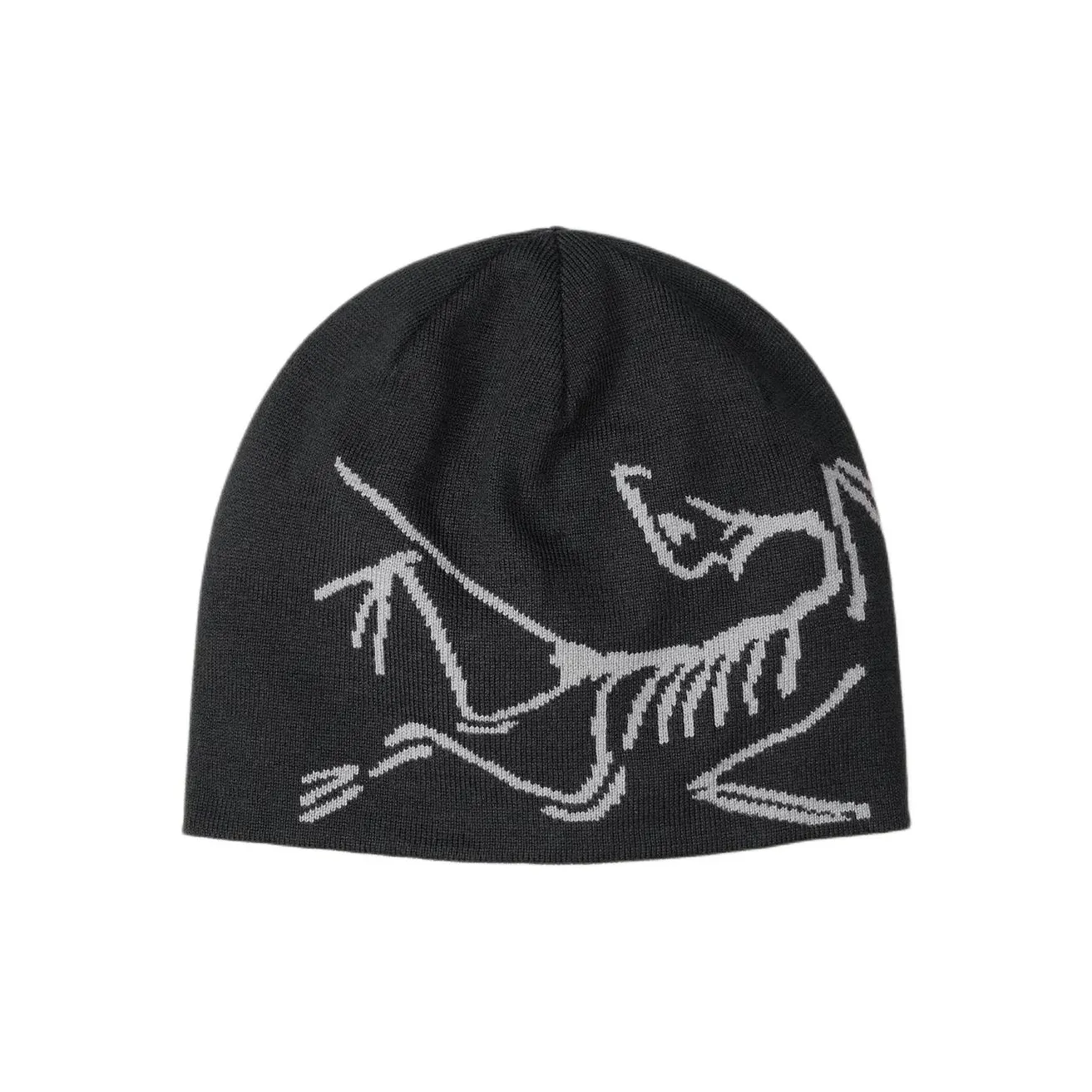 Arc'teryx Lightweight Bird Head Toque Beanie