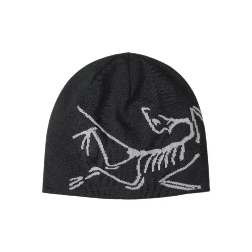 Arcteryx Шапки-бини Унисекс