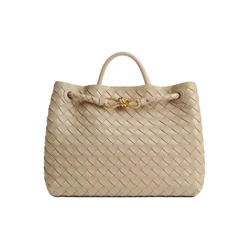 Bottega Veneta Andiamo series Сумки Женские