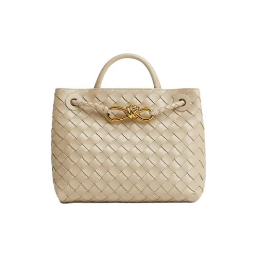Bottega Veneta Andiamo series Сумки Женские