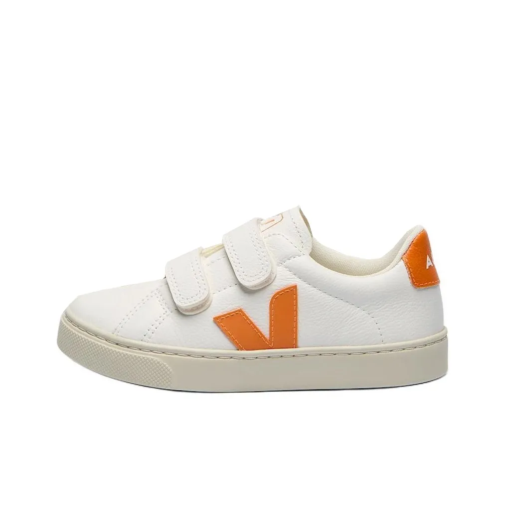VEJA Esplar Low Top Skateboard Shoes Unisex White