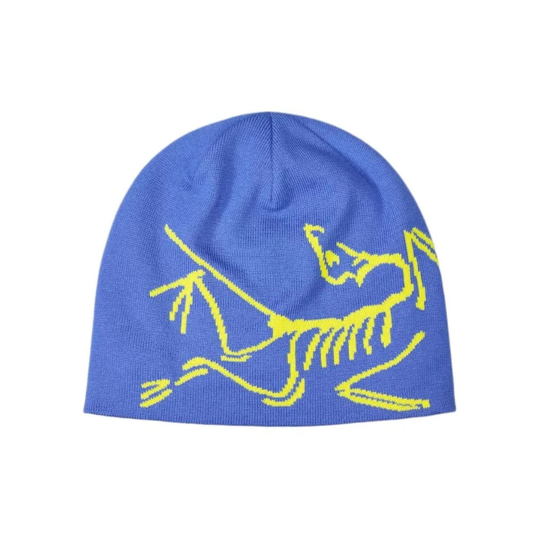 Arcteryx Хлопок полиэстер пряжа шапки-бини унисекс синий