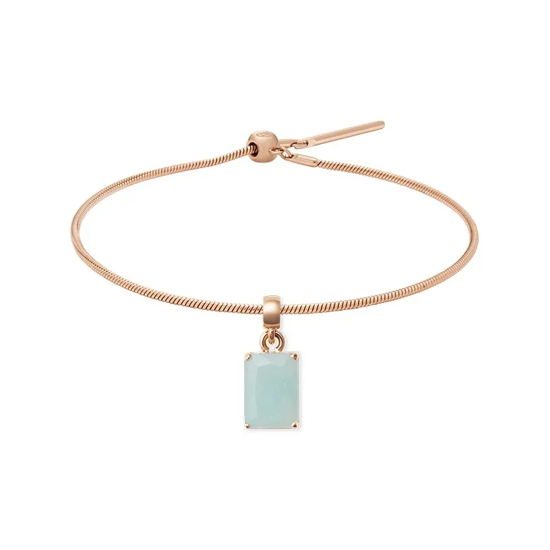 Daniel Wellington Alloy Браслеты Унисекс