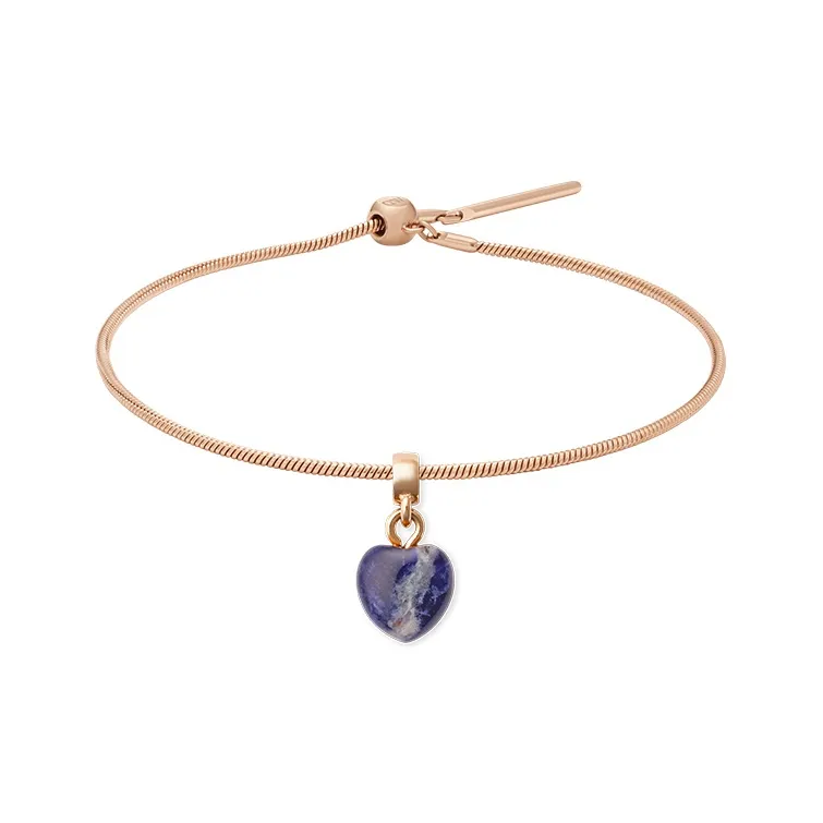 Daniel Wellington CHARMS Whisper Сплав Браслеты Унисекс