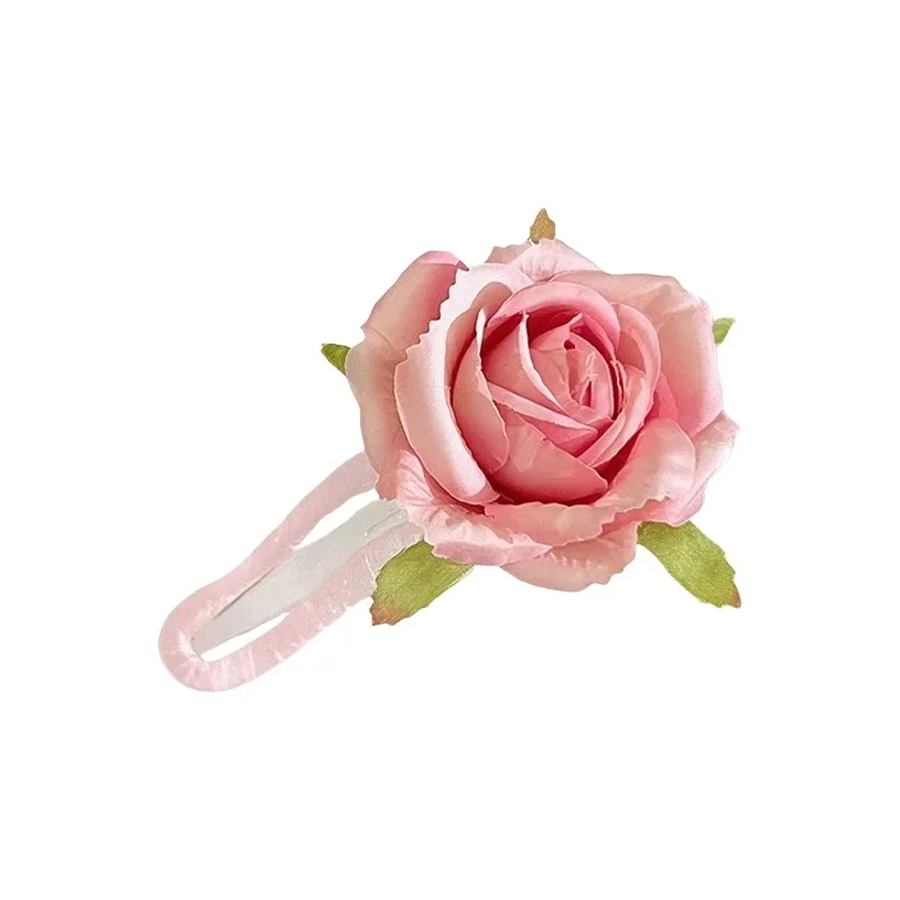 Danqin Resin Hair Clips Women's