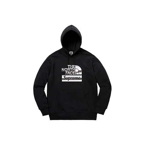 Supreme The North Face Metallic Logo Hooded Sweatshirt