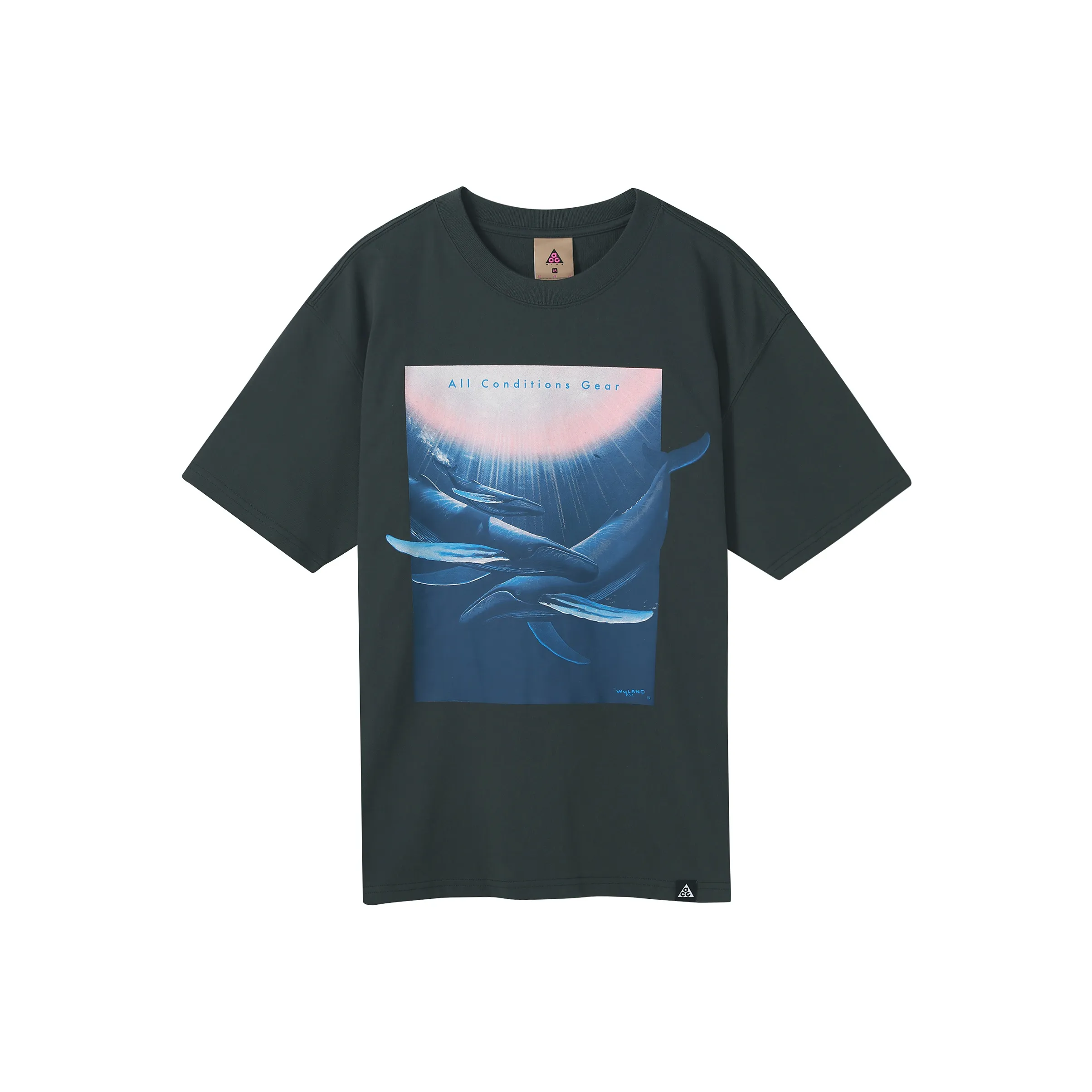 nike Черный Серый Цвет Мужская Футболка