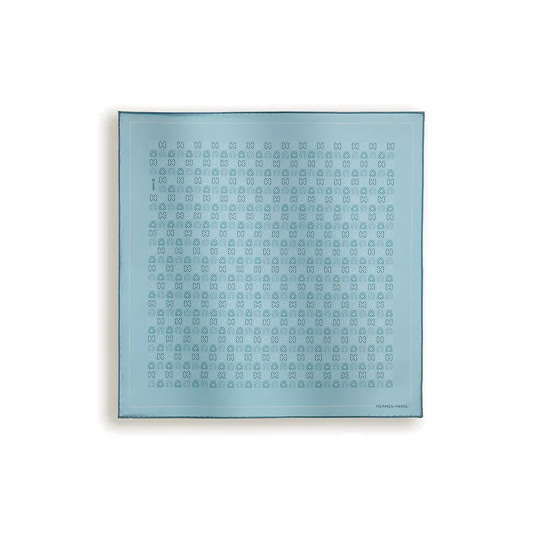HERMES Silk Scarves Unisex Light Blue