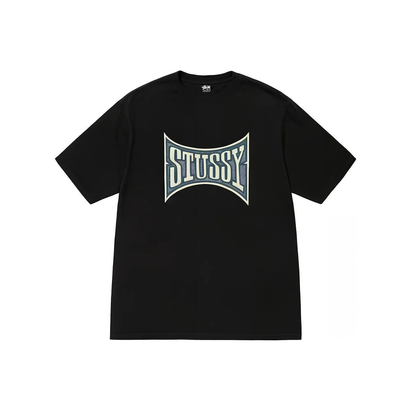 Stussy Champion Pigment Dyed Tee