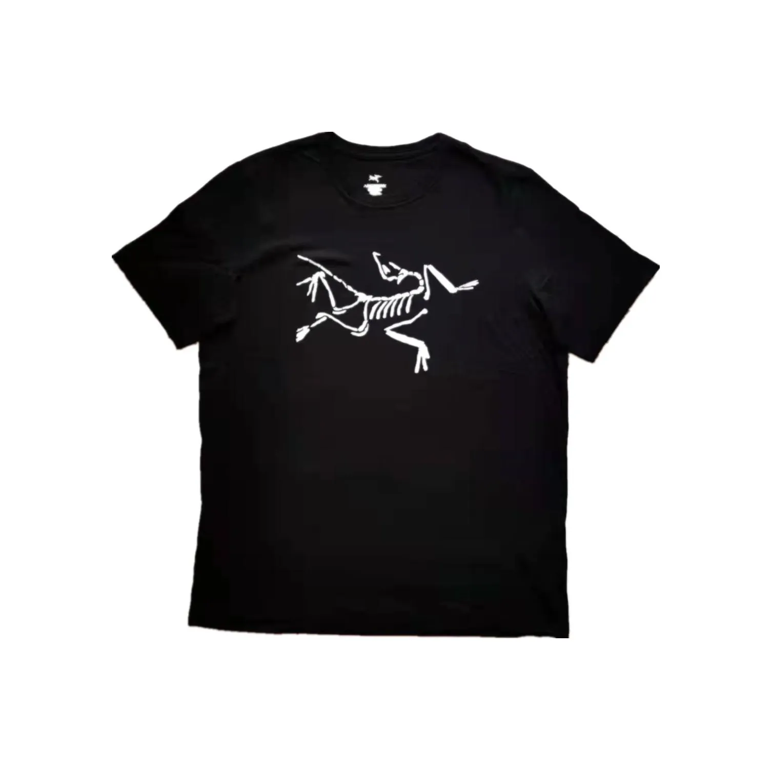 Arcteryx Ionia Merino Wool Series T Shirts Men's