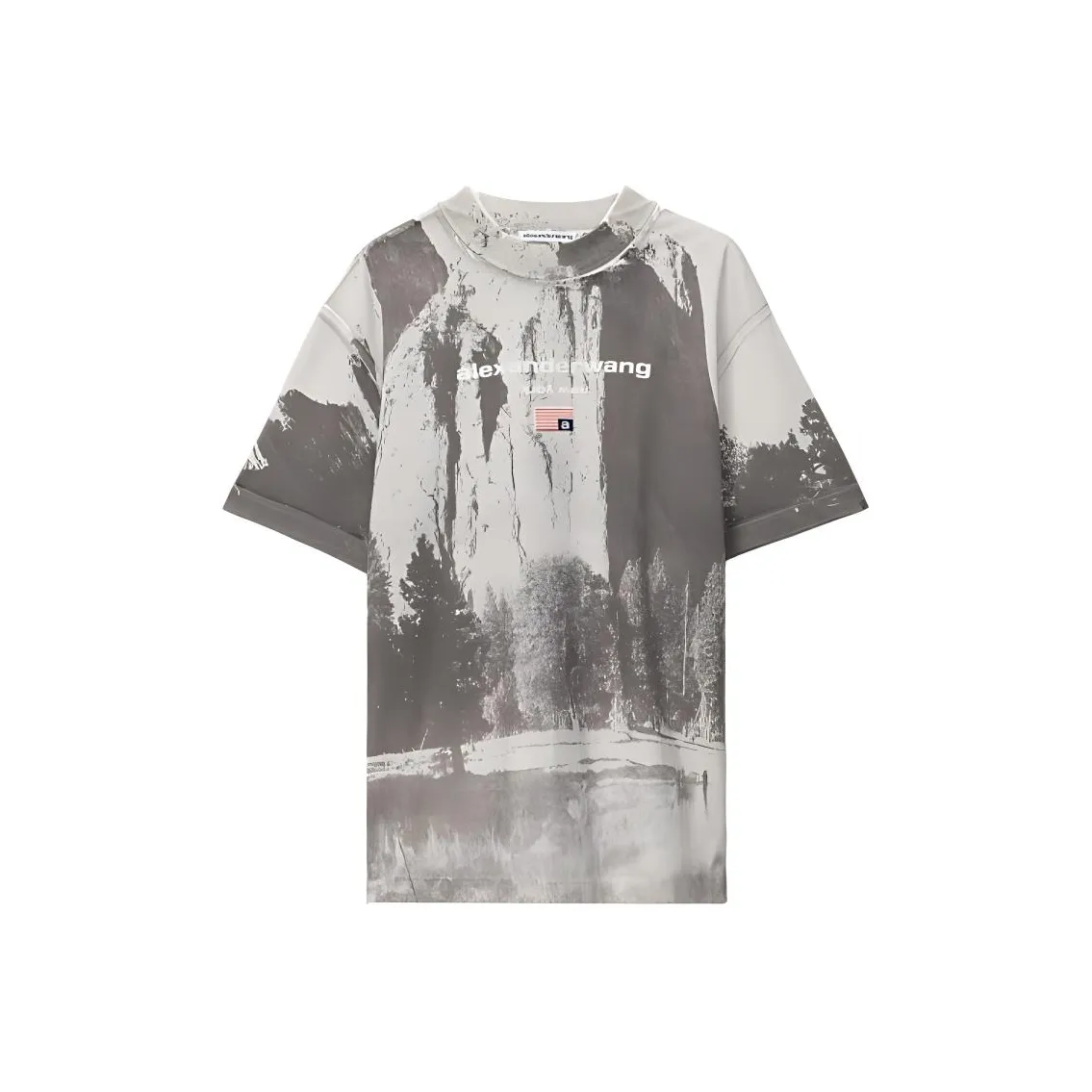 Alexander Wang T Shirts Men's Gray