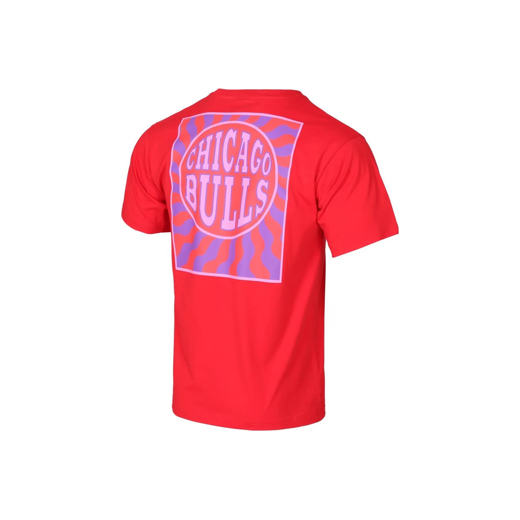 NBA Team Bulls Team Unisex T-Shirts