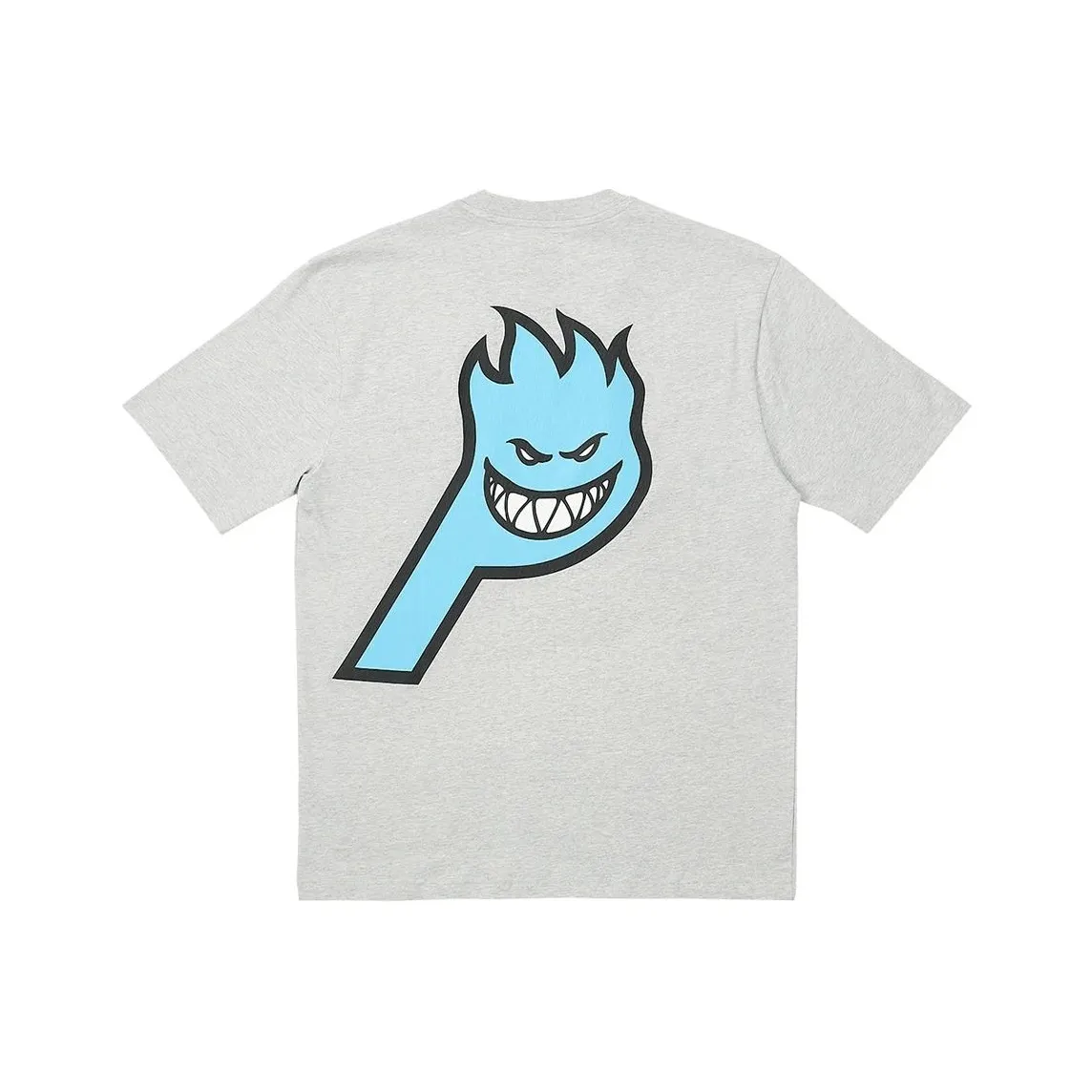 Дворцовый X SPITFIRE Co Branded SERIES Серый Унисекс T Рубашки