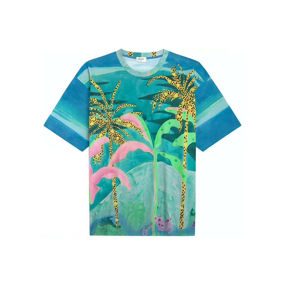 Celine Зеленые Мужские T-рубашки