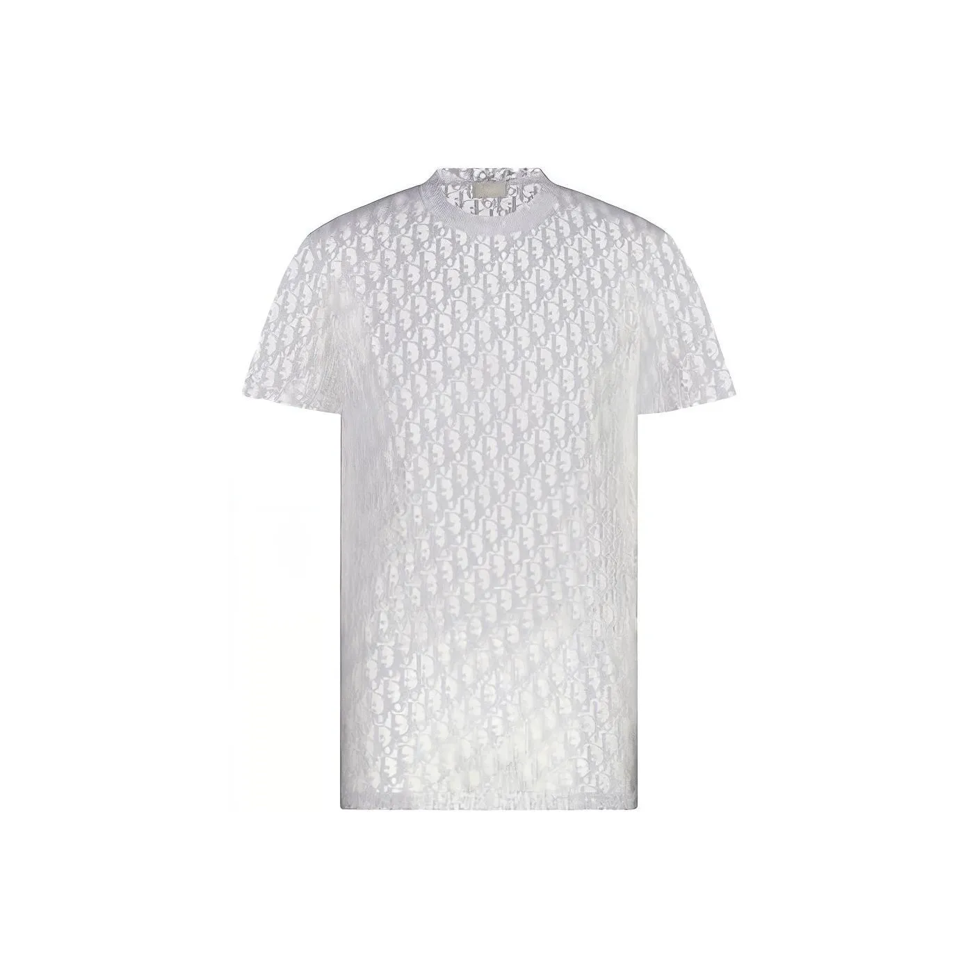 DIOR Sheer Oblique T Shirt