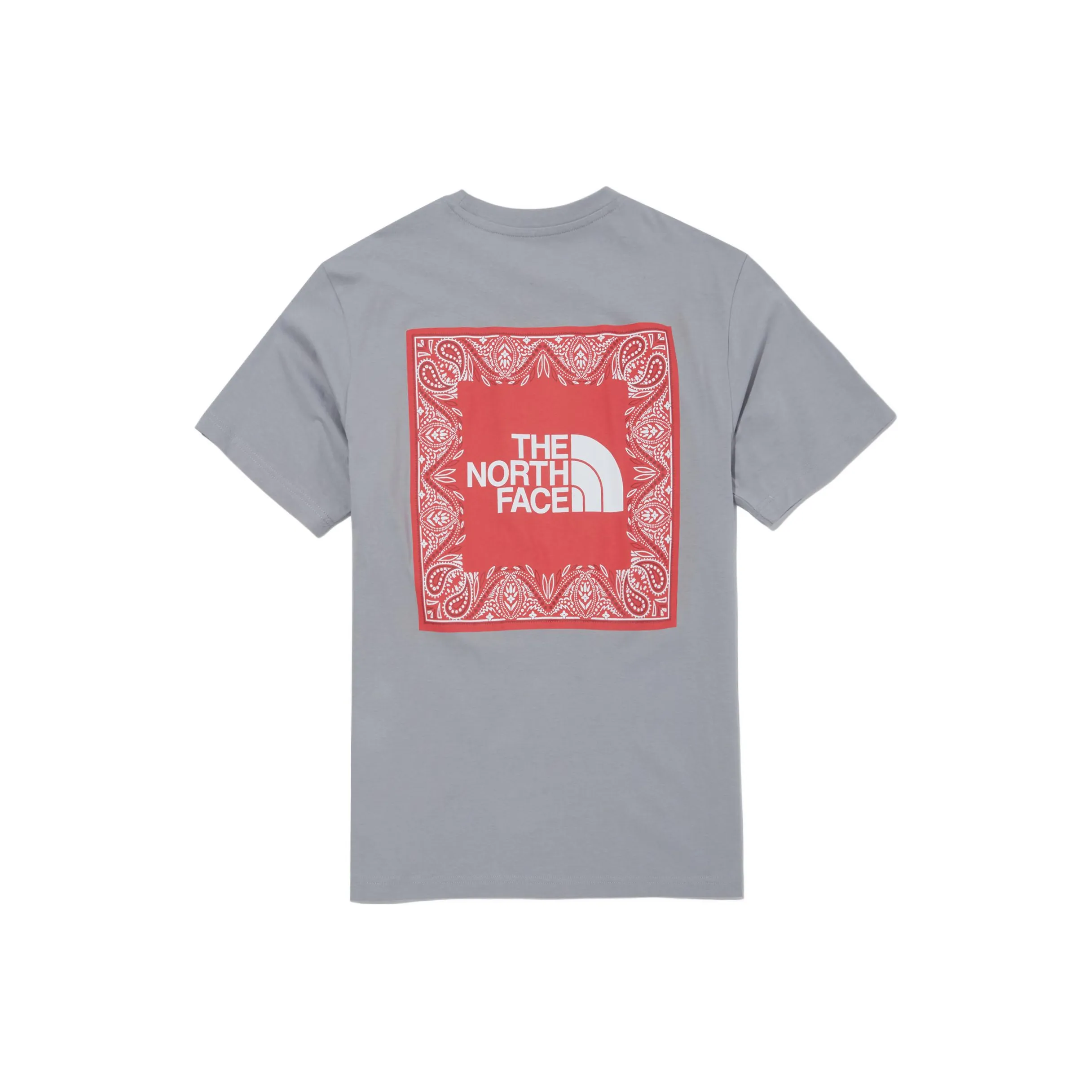 The North Face Cashew Flower Collection T-Shirt Унисекс Light Серый