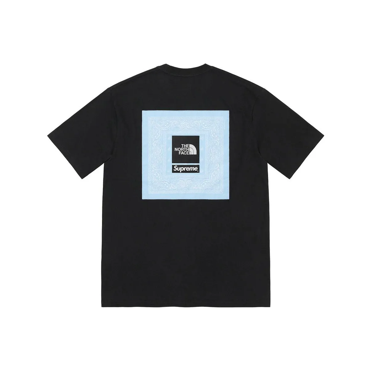 Supreme The North Face Bandana Tee