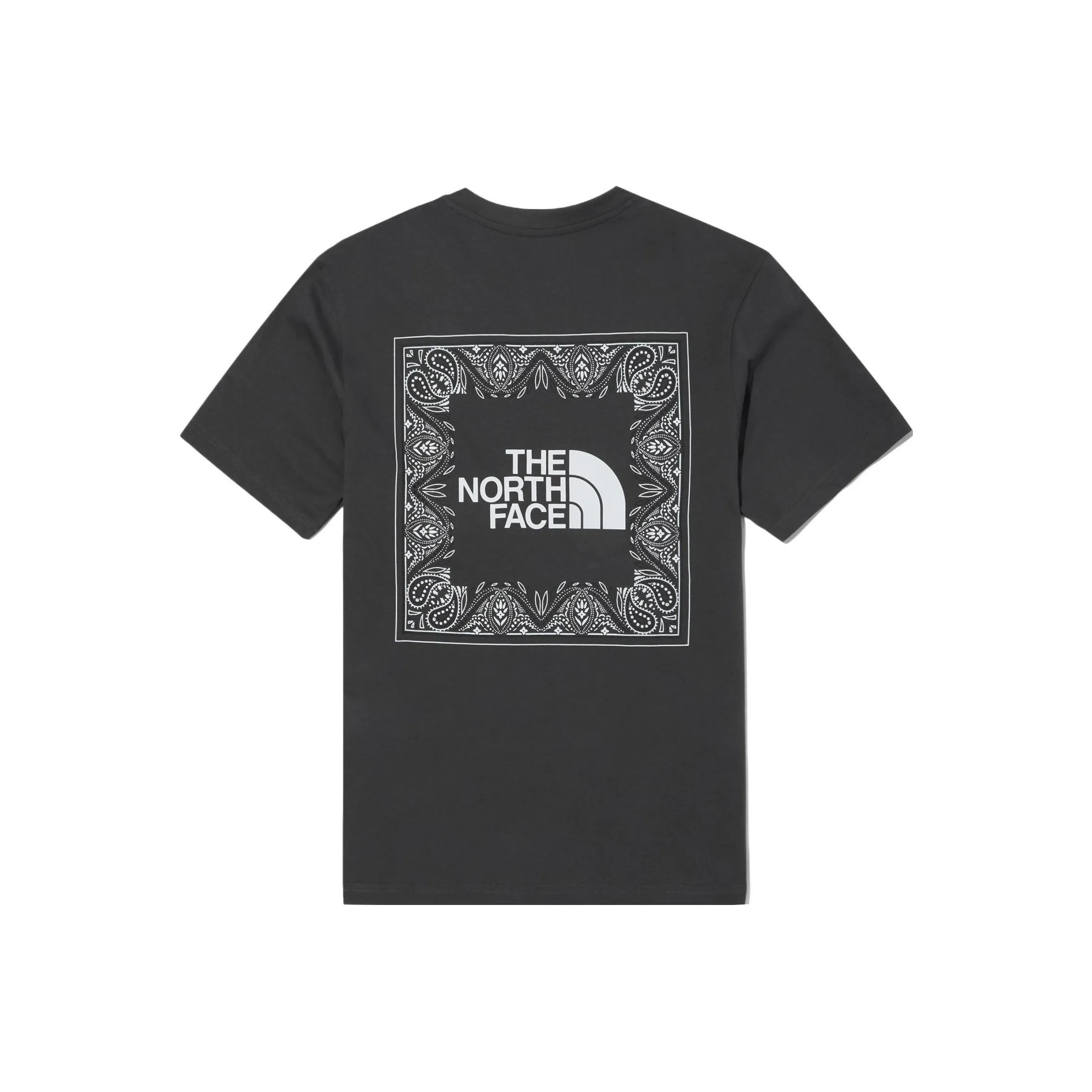 The North Face Cashew Flower Collection T-Shirt Мужской Серый